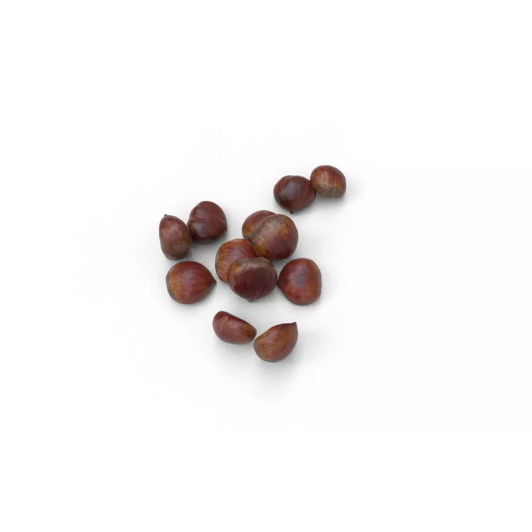 Chestnut 3D Model – Low Poly Game Asset, FBX, PBR Textures - View 6