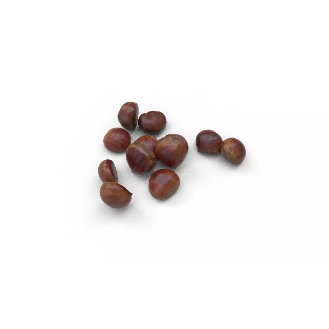 Chestnut 3D Model – Low Poly Game Asset, FBX, PBR Textures - View 7