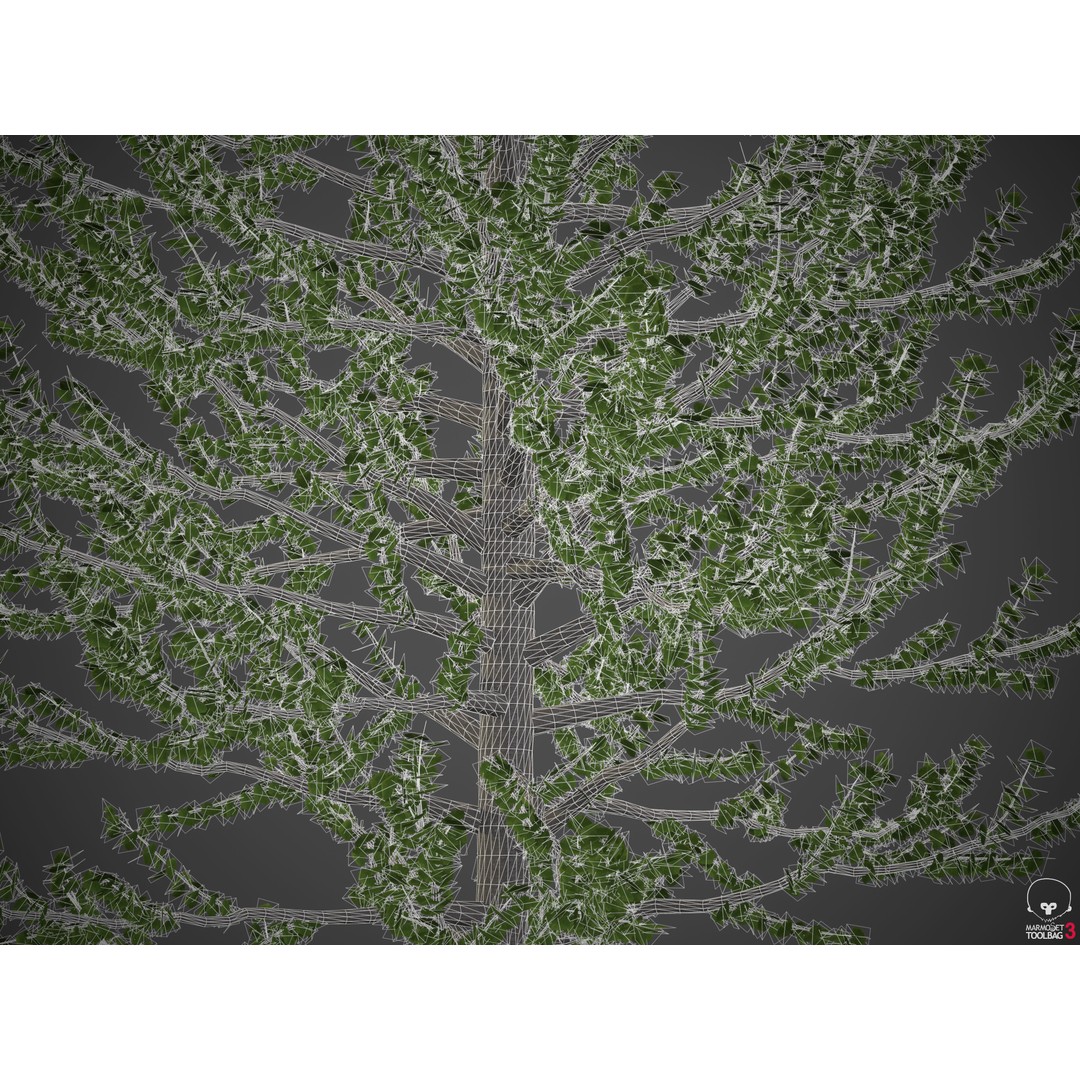 Balsam Poplar 3D Model – PBR High-Quality Collection, FBX, OBJ