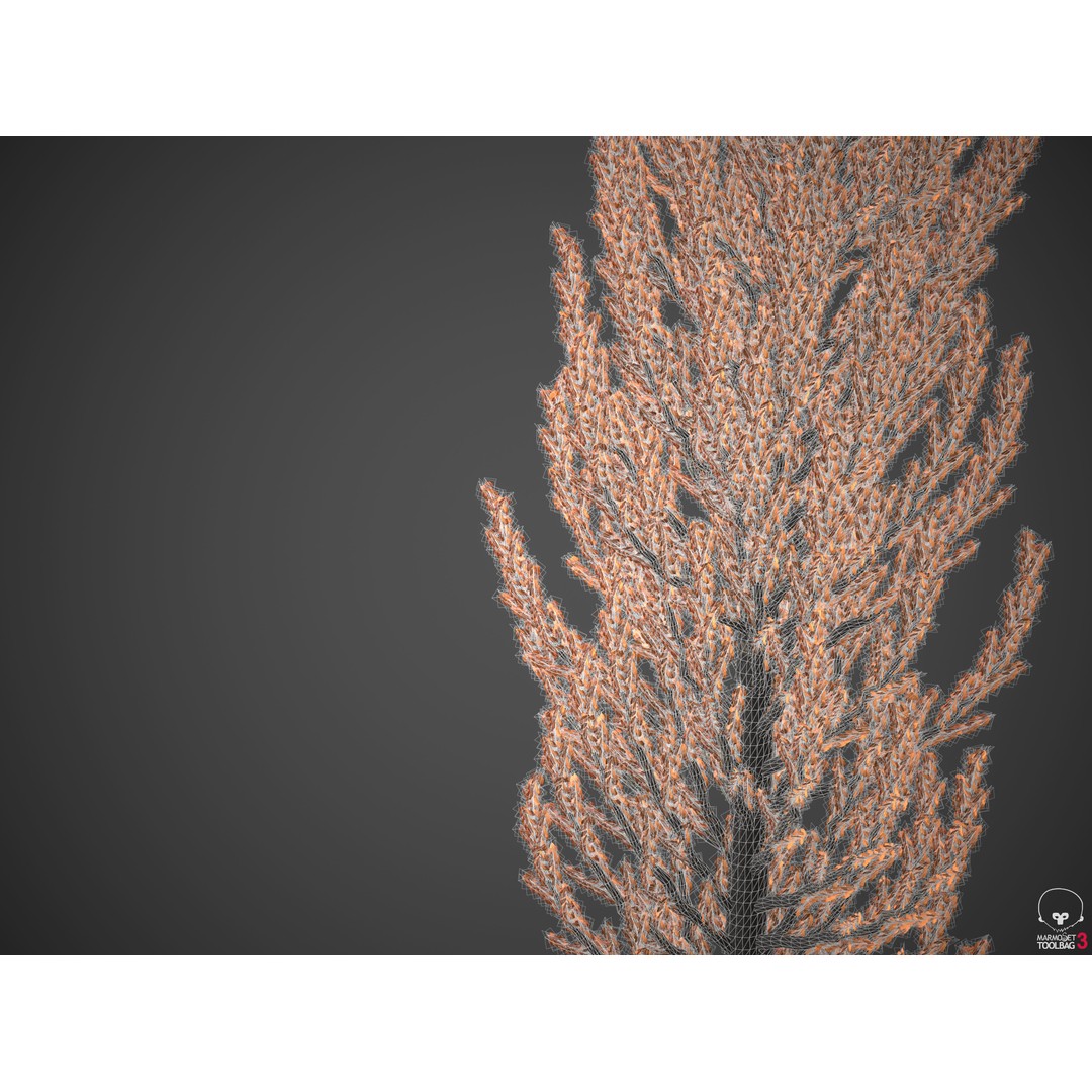 Balsam Poplar 3D Model – PBR High-Quality Collection, FBX, OBJ - View 10
