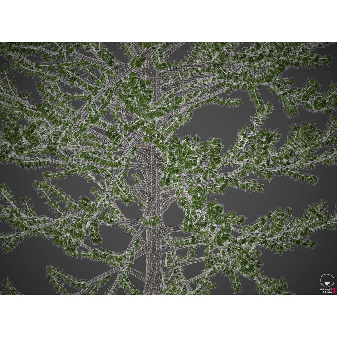 Balsam Poplar 3D Model – PBR High-Quality Collection, FBX, OBJ - View 11