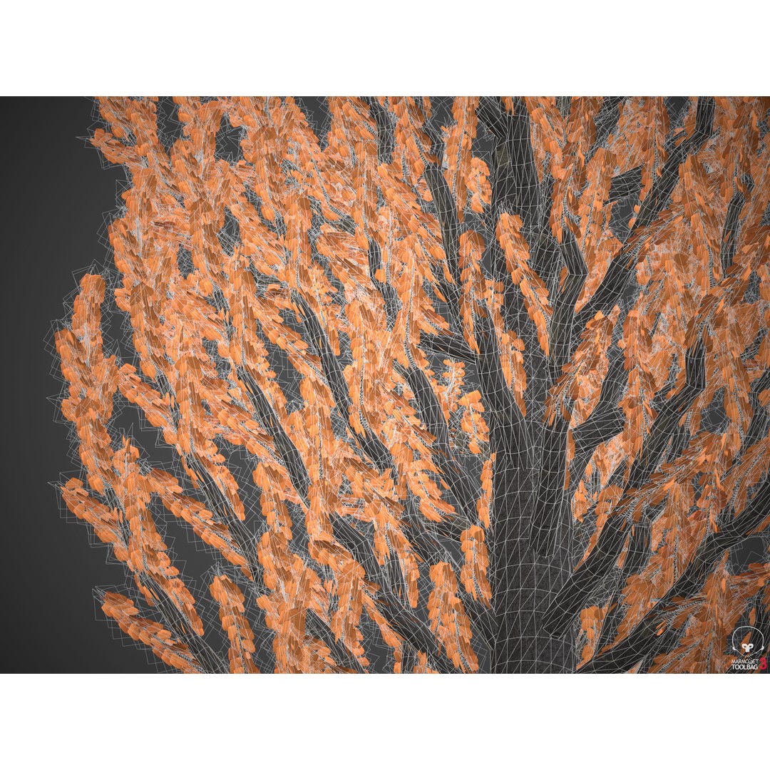 Balsam Poplar 3D Model – PBR High-Quality Collection, FBX, OBJ - View 12