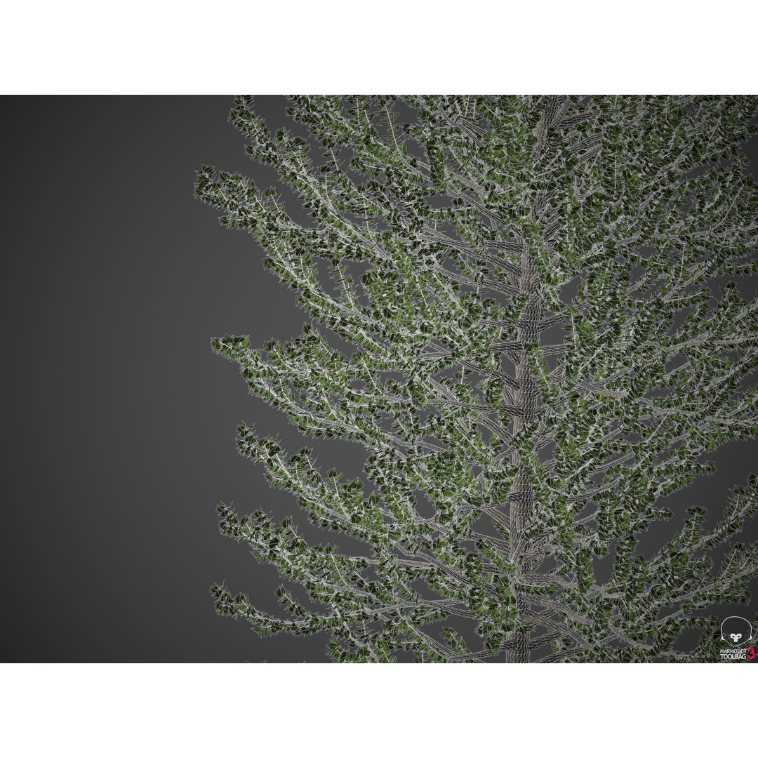 Balsam Poplar 3D Model – PBR High-Quality Collection, FBX, OBJ - View 13