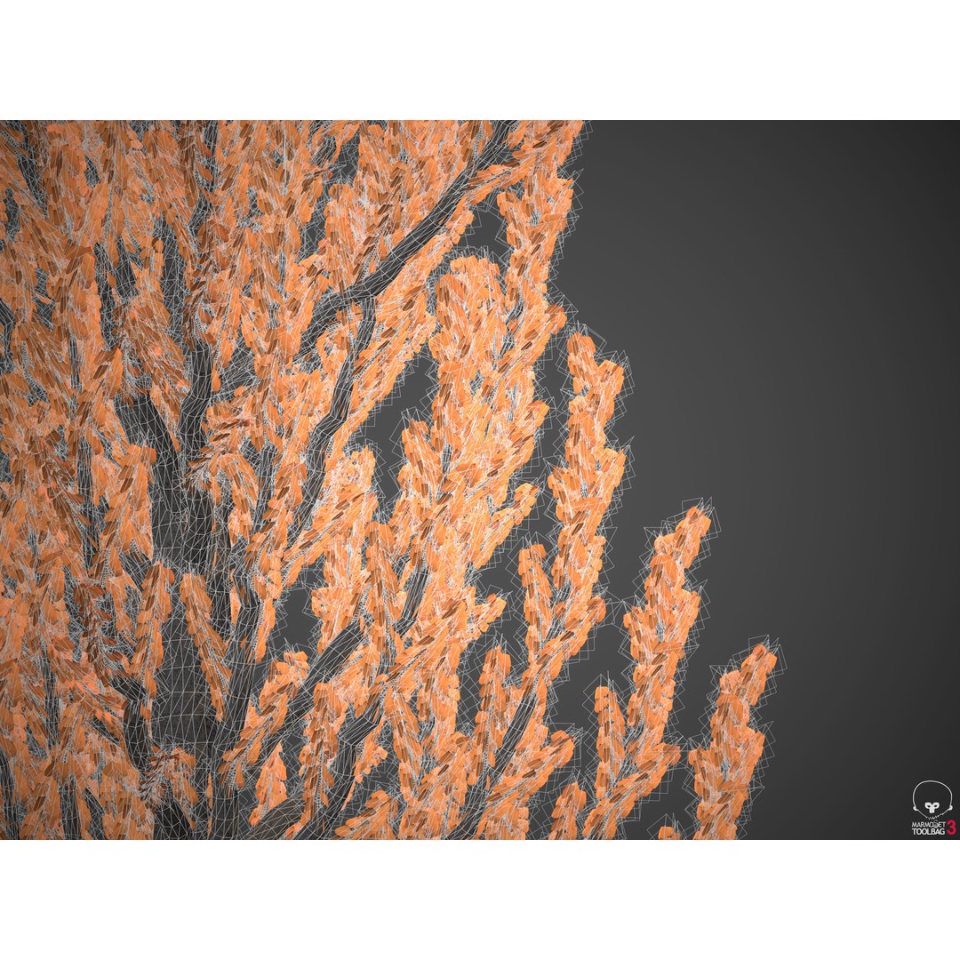 Balsam Poplar 3D Model – PBR High-Quality Collection, FBX, OBJ - View 9