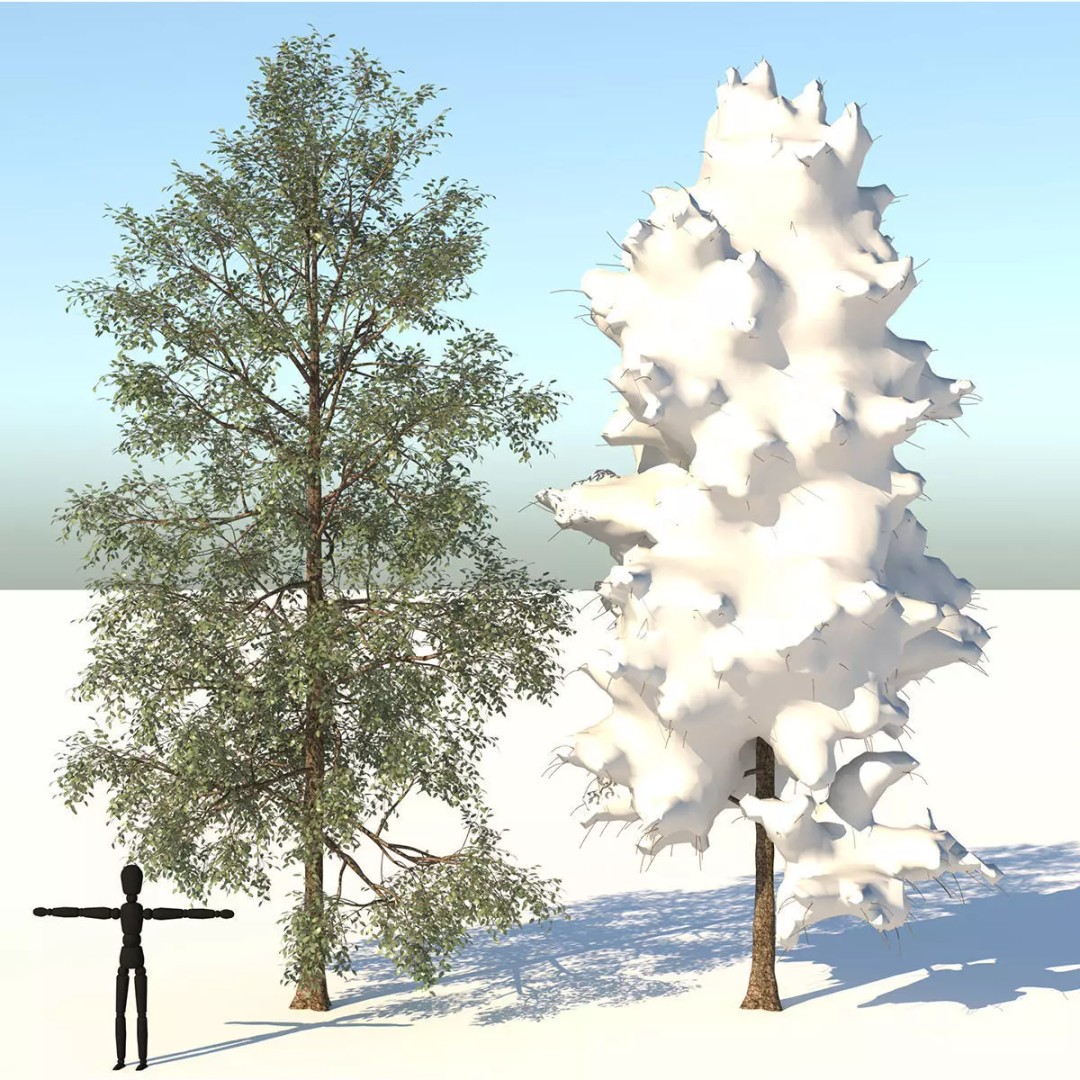Season White Birch Tree 3D Model – Realistic High Poly Asset, FBX, OBJ - View 2