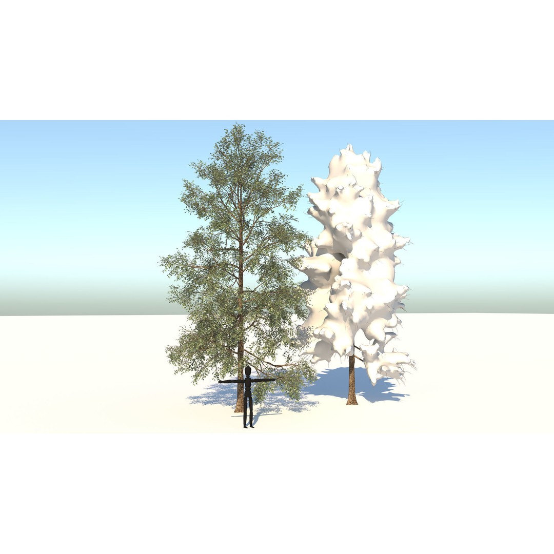 Season White Birch Tree 3D Model – Realistic High Poly Asset, FBX, OBJ - View 5