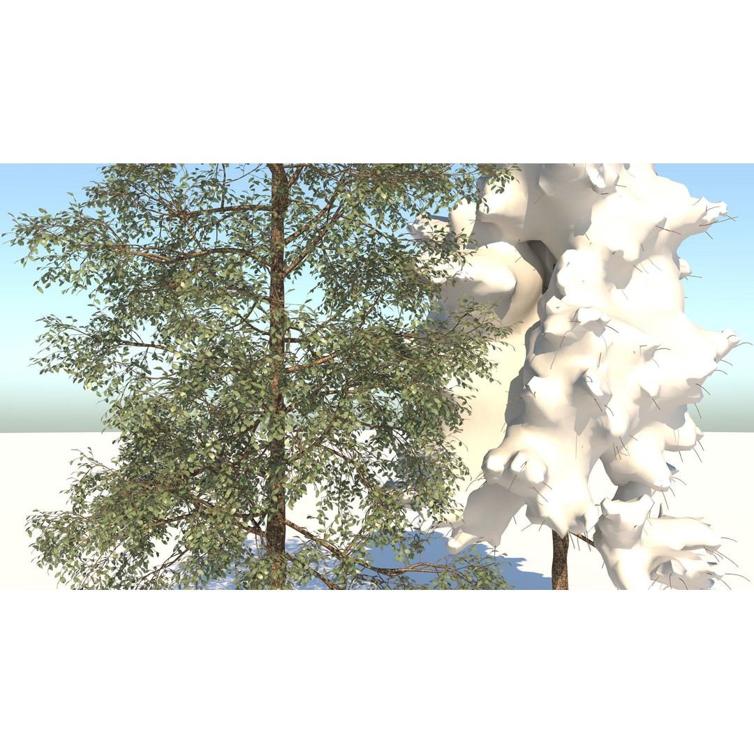 Season White Birch Tree 3D Model – Realistic High Poly Asset, FBX, OBJ - View 6