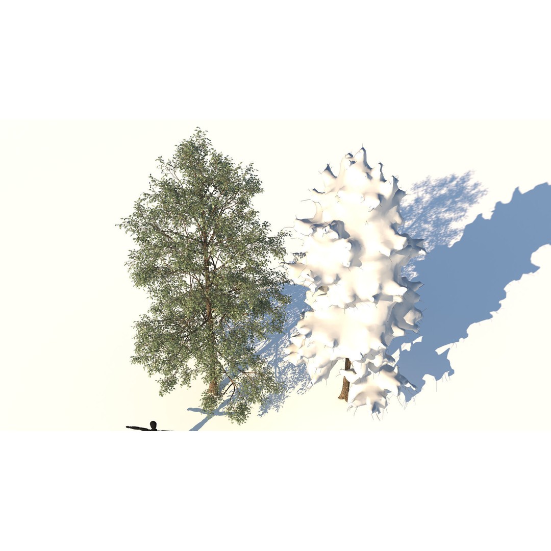 Season White Birch Tree 3D Model – Realistic High Poly Asset, FBX, OBJ - View 7