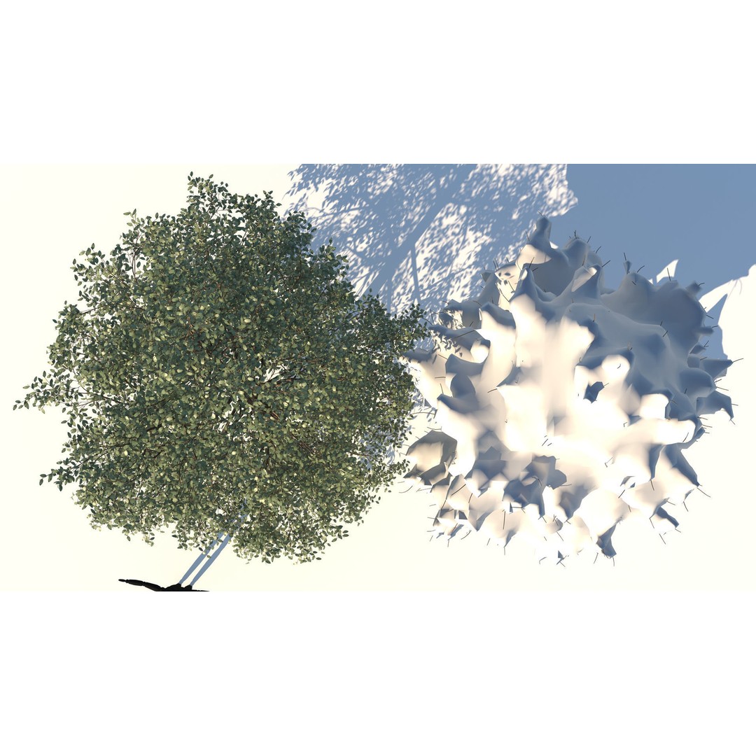 Season White Birch Tree 3D Model – Realistic High Poly Asset, FBX, OBJ - View 8