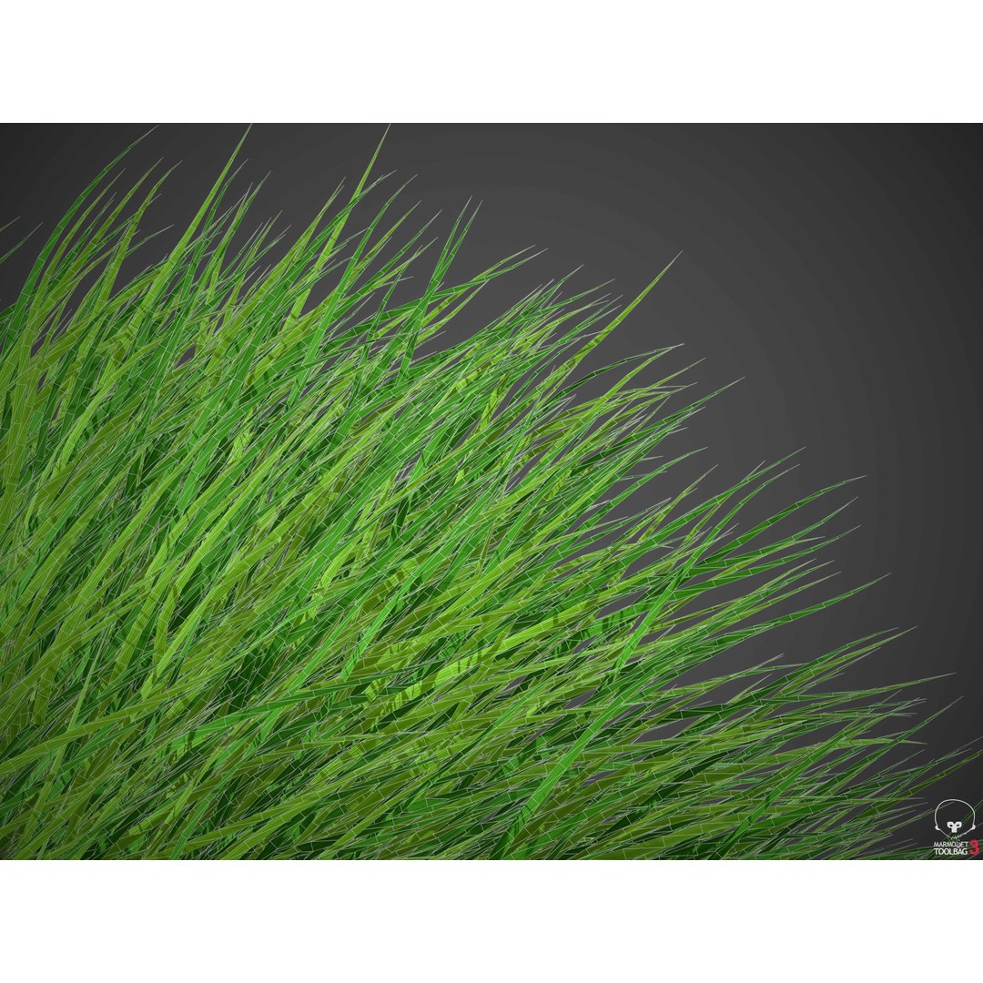 Pennsylvania Sedge 3D Model – High Poly Grass Asset, FBX & OBJ