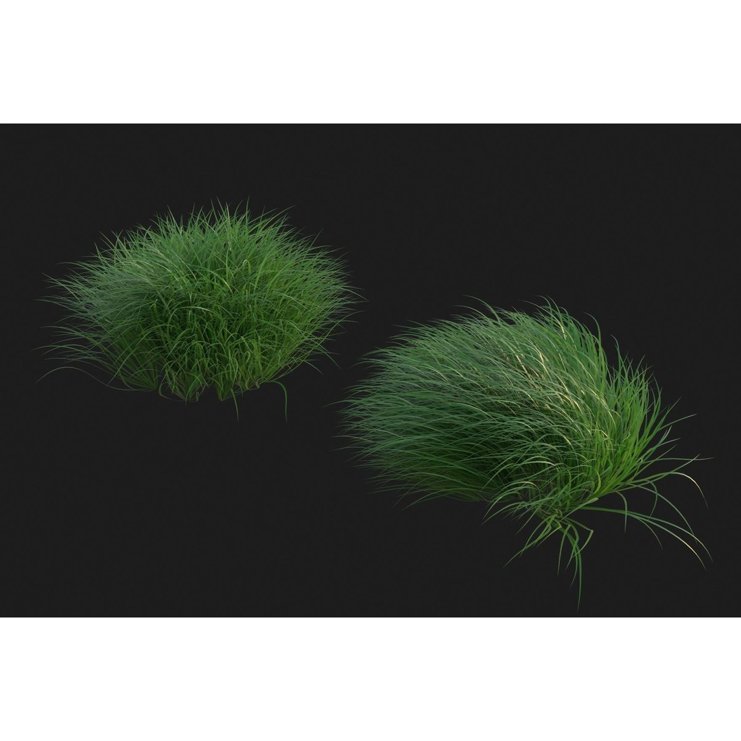 Pennsylvania Sedge 3D Model – High Poly Grass Asset, FBX & OBJ - View 3