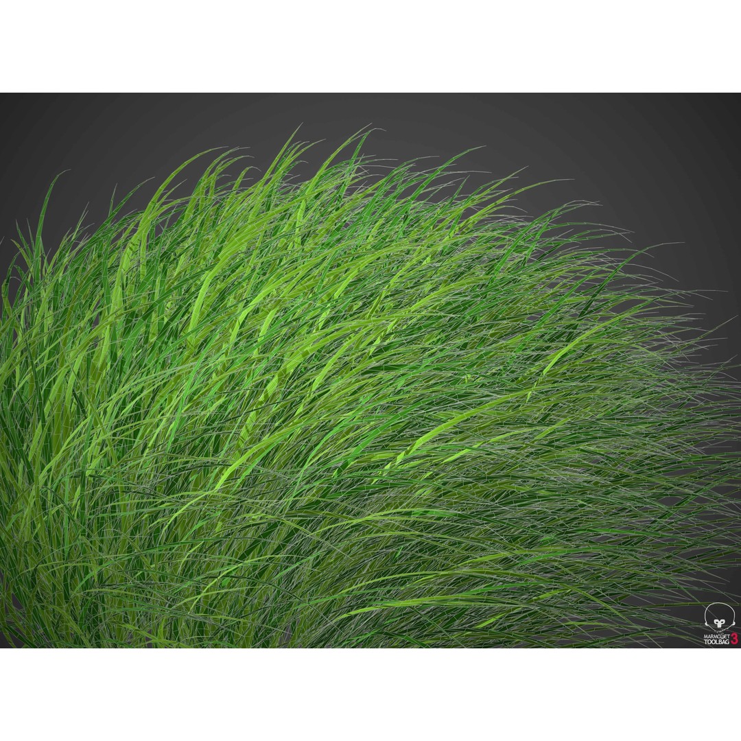 Pennsylvania Sedge 3D Model – High Poly Grass Asset, FBX & OBJ - View 4