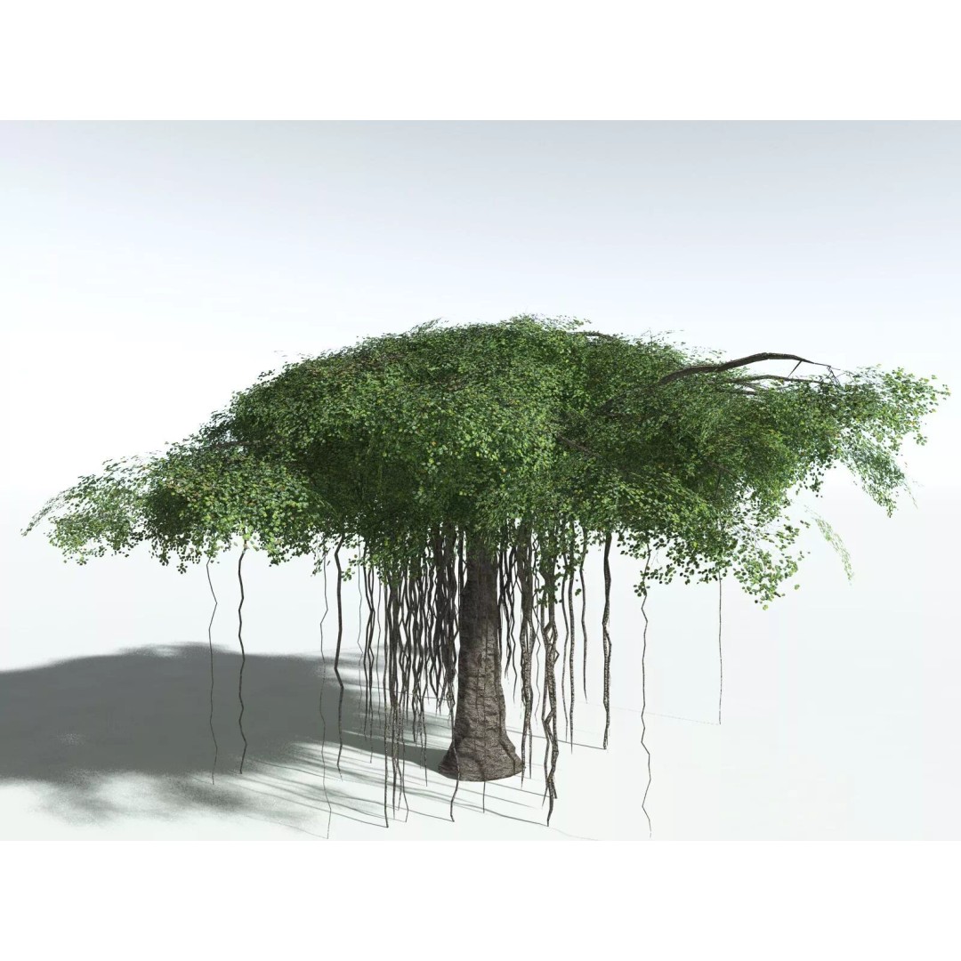 Banyan Tree 3D Model – Low Poly Game Asset, FBX, PBR Textures - View 10