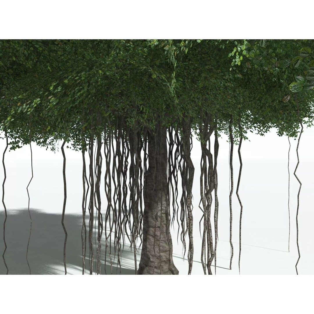 Banyan Tree 3D Model – Low Poly Game Asset, FBX, PBR Textures - View 11