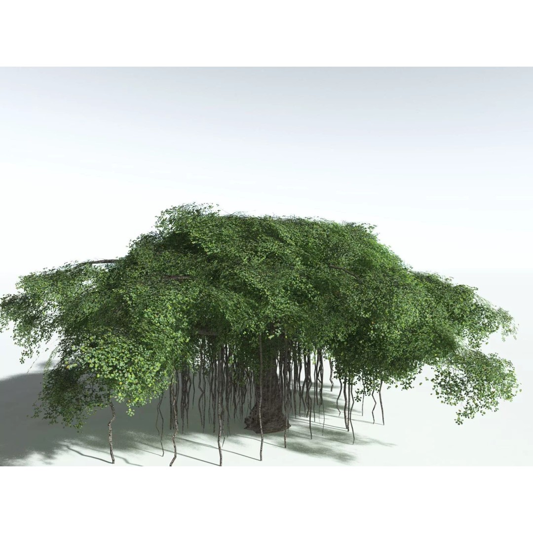 Banyan Tree 3D Model – Low Poly Game Asset, FBX, PBR Textures - View 12
