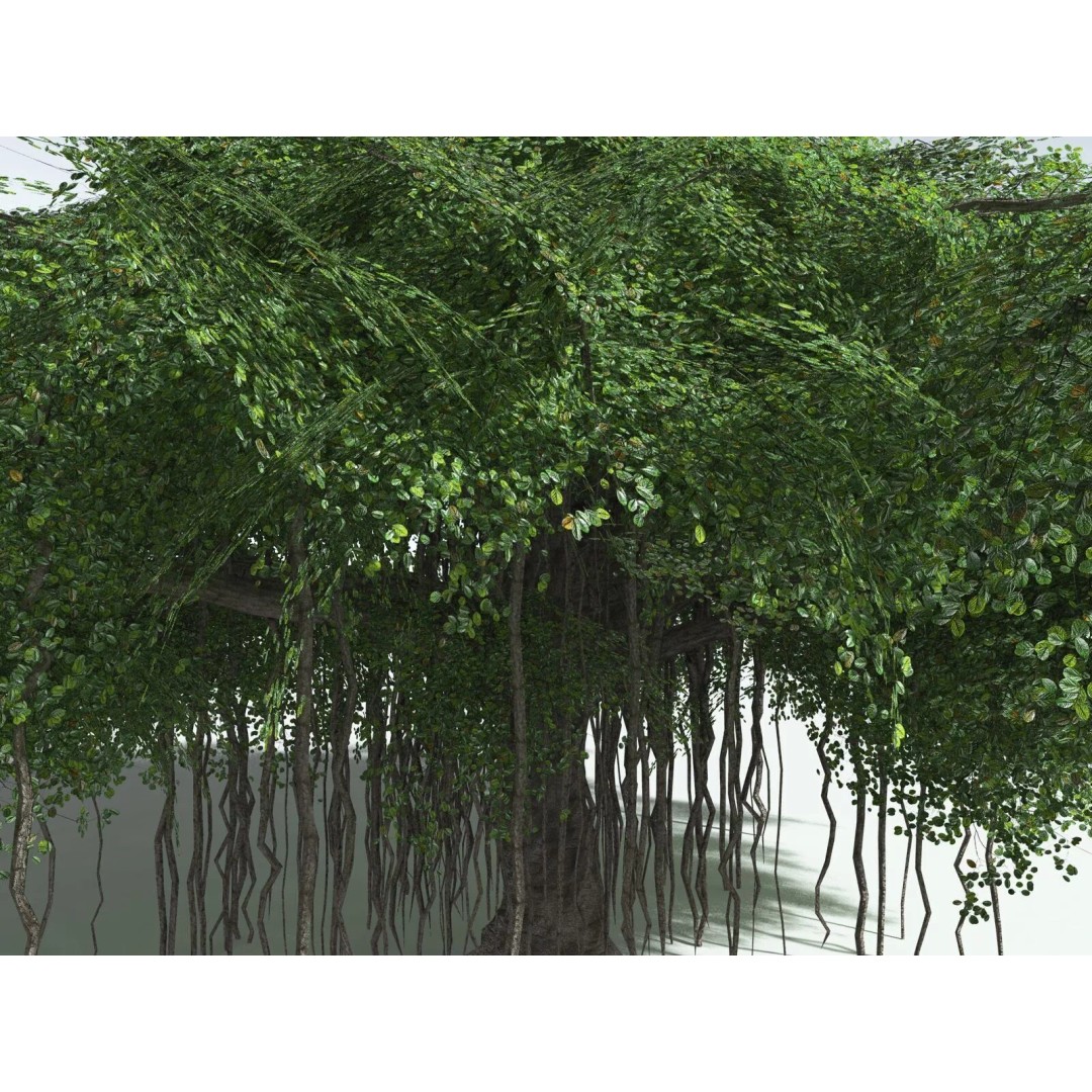 Banyan Tree 3D Model – Low Poly Game Asset, FBX, PBR Textures - View 13