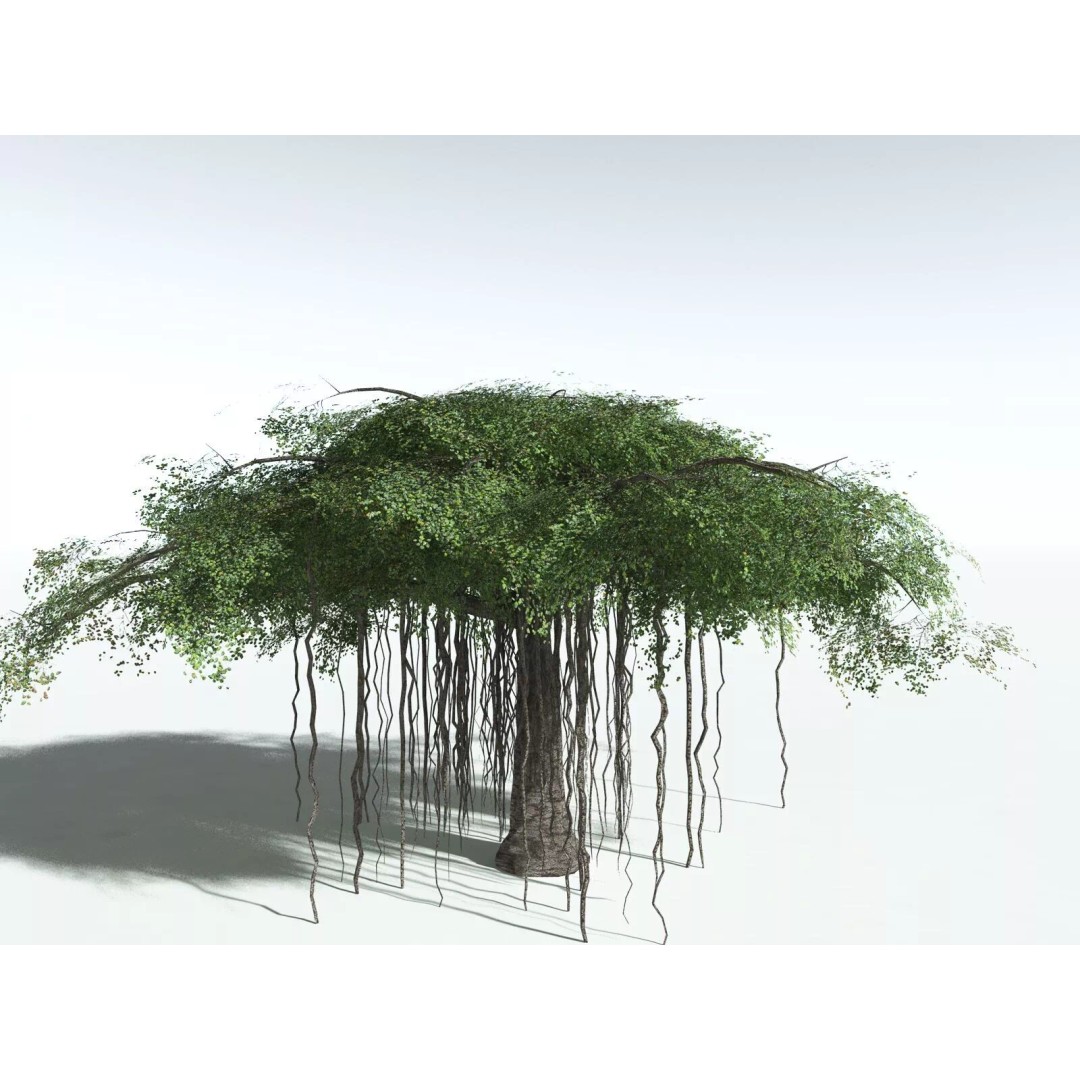 Banyan Tree 3D Model – Low Poly Game Asset, FBX, PBR Textures - View 14