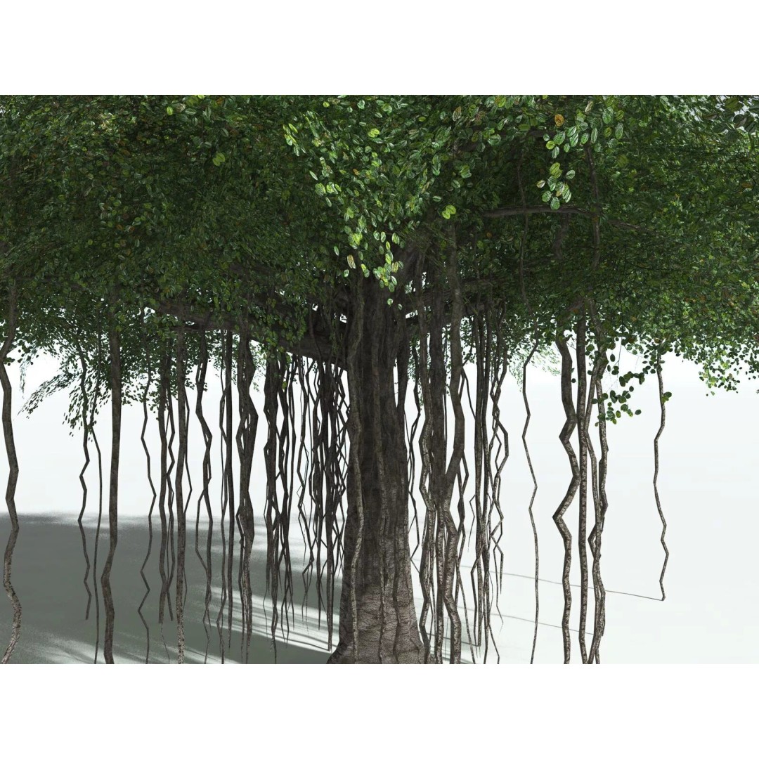 Banyan Tree 3D Model – Low Poly Game Asset, FBX, PBR Textures - View 15