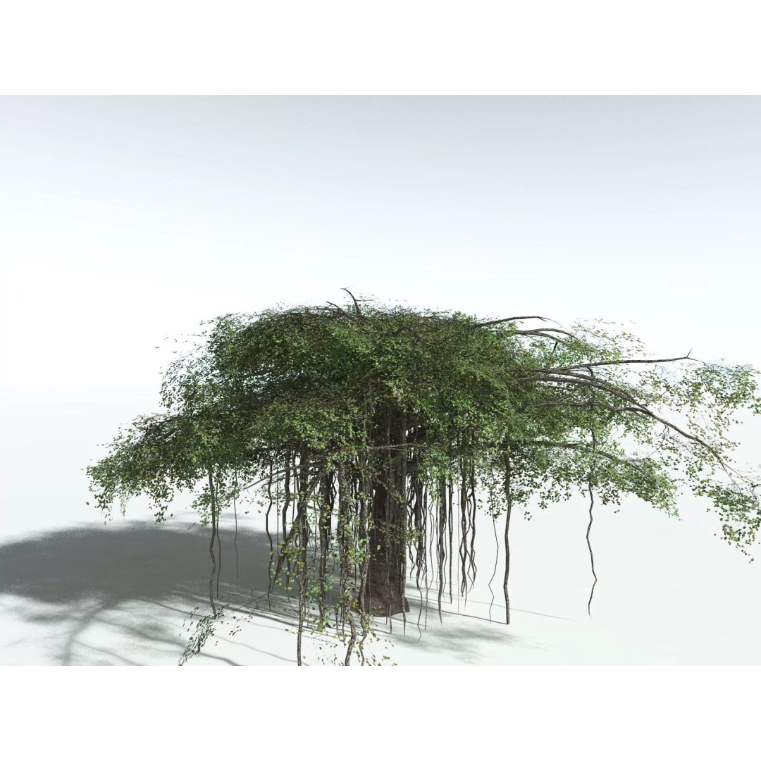 Banyan Tree 3D Model – Low Poly Game Asset, FBX, PBR Textures - View 16