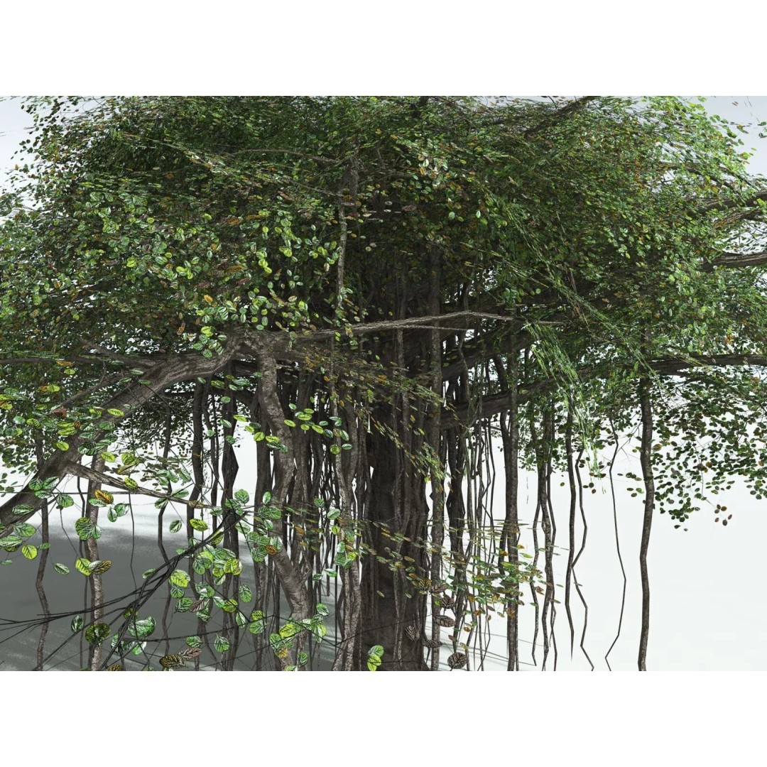 Banyan Tree 3D Model – Low Poly Game Asset, FBX, PBR Textures - View 17
