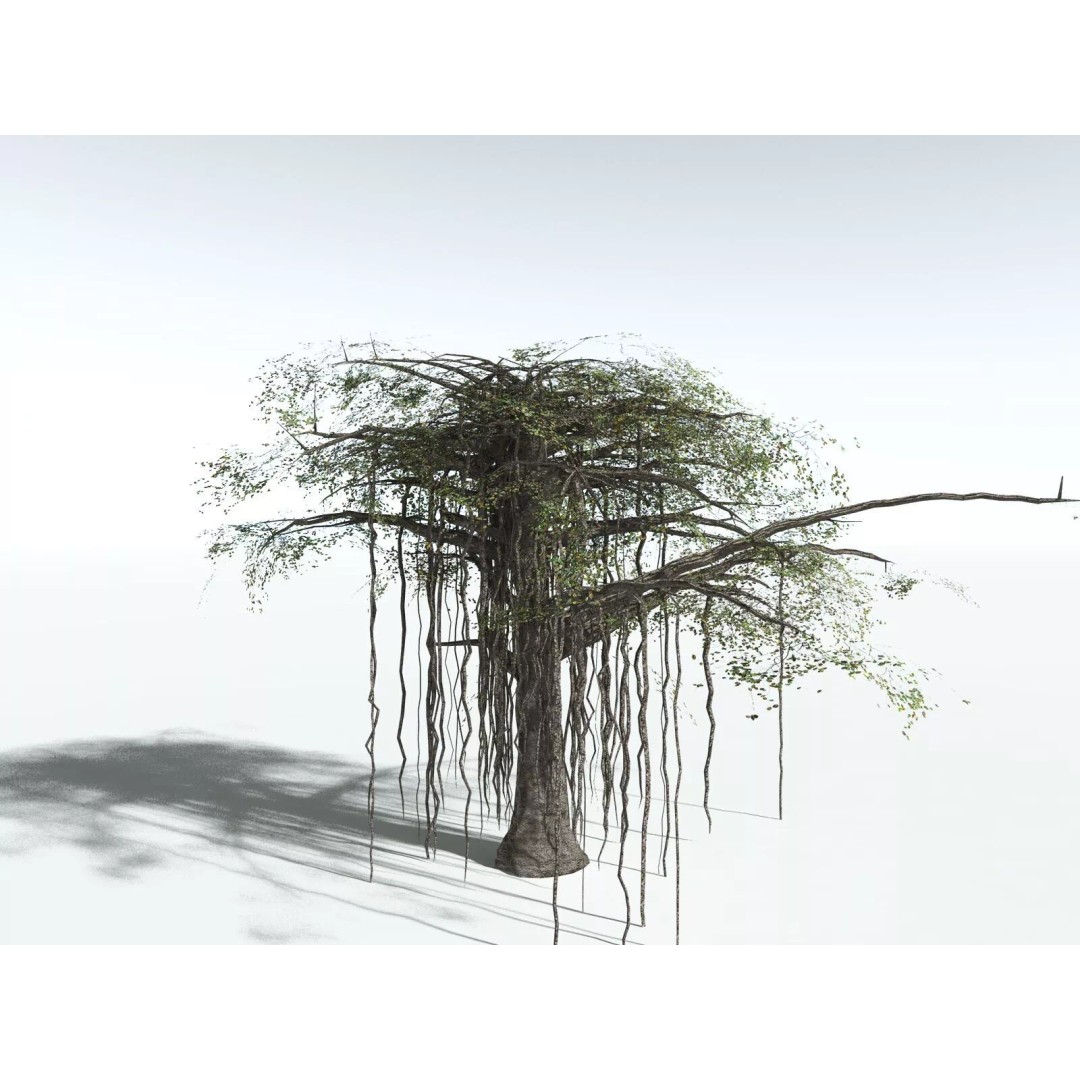 Banyan Tree 3D Model – Low Poly Game Asset, FBX, PBR Textures - View 18