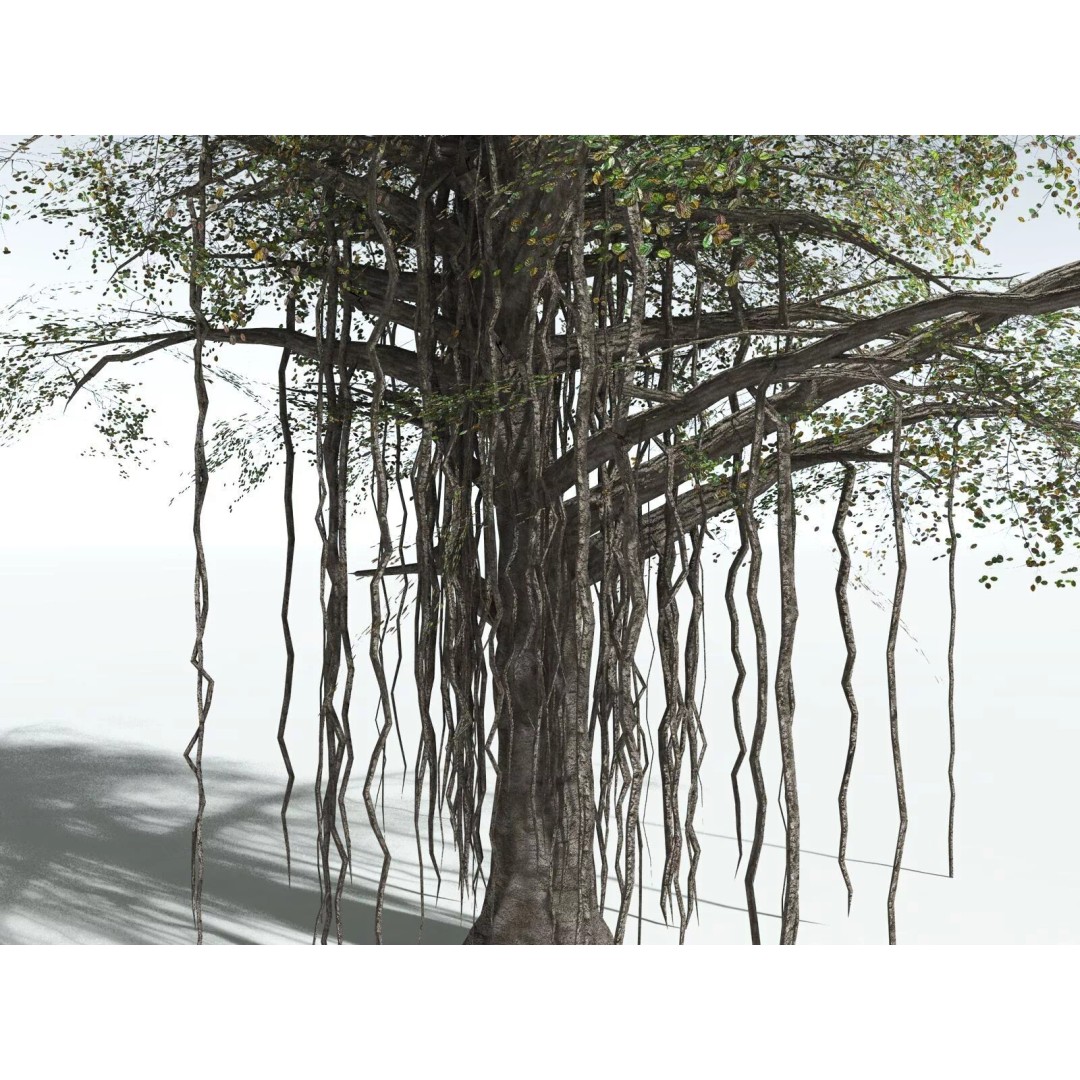 Banyan Tree 3D Model – Low Poly Game Asset, FBX, PBR Textures - View 19