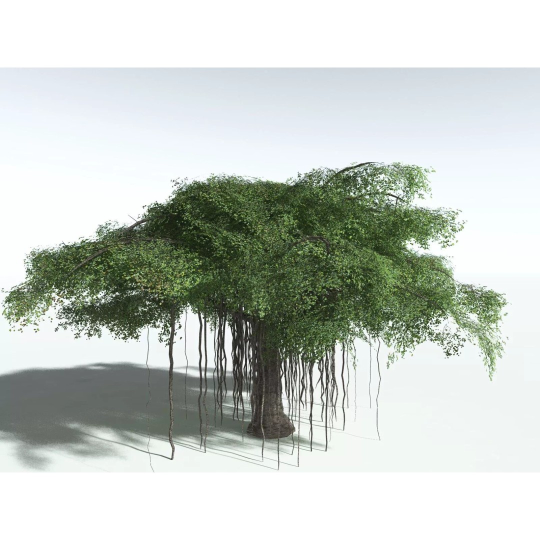 Banyan Tree 3D Model – Low Poly Game Asset, FBX, PBR Textures - View 2