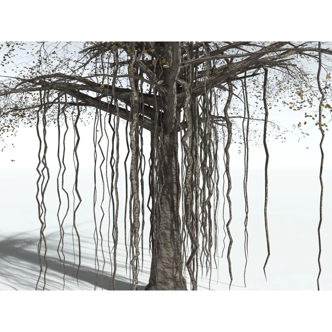 Banyan Tree 3D Model – Low Poly Game Asset, FBX, PBR Textures - View 21