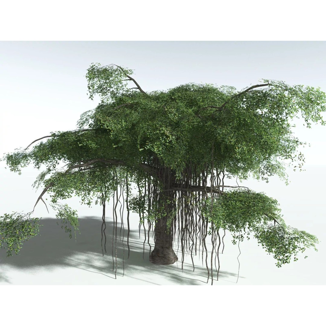 Banyan Tree 3D Model – Low Poly Game Asset, FBX, PBR Textures - View 22