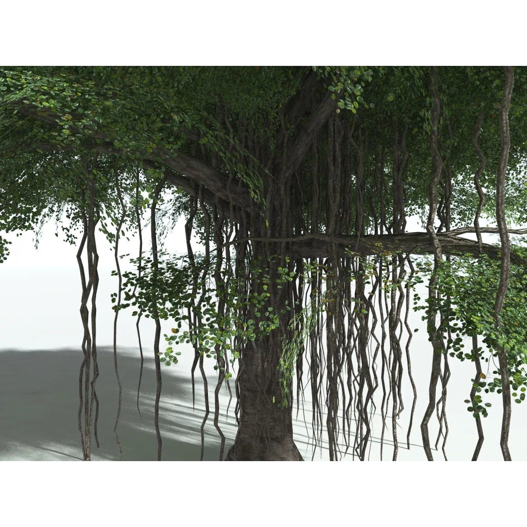Banyan Tree 3D Model – Low Poly Game Asset, FBX, PBR Textures - View 23