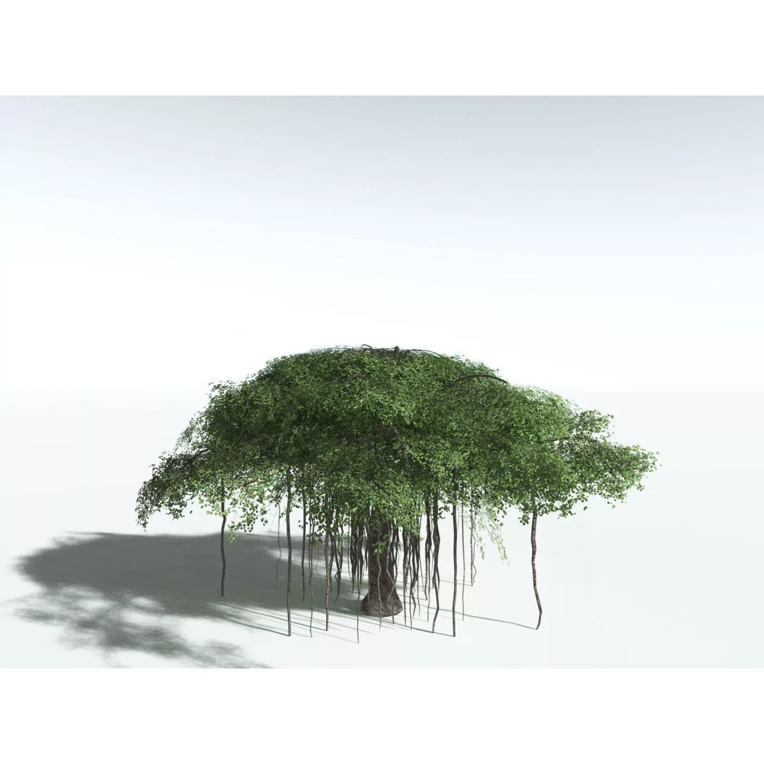 Banyan Tree 3D Model – Low Poly Game Asset, FBX, PBR Textures - View 24