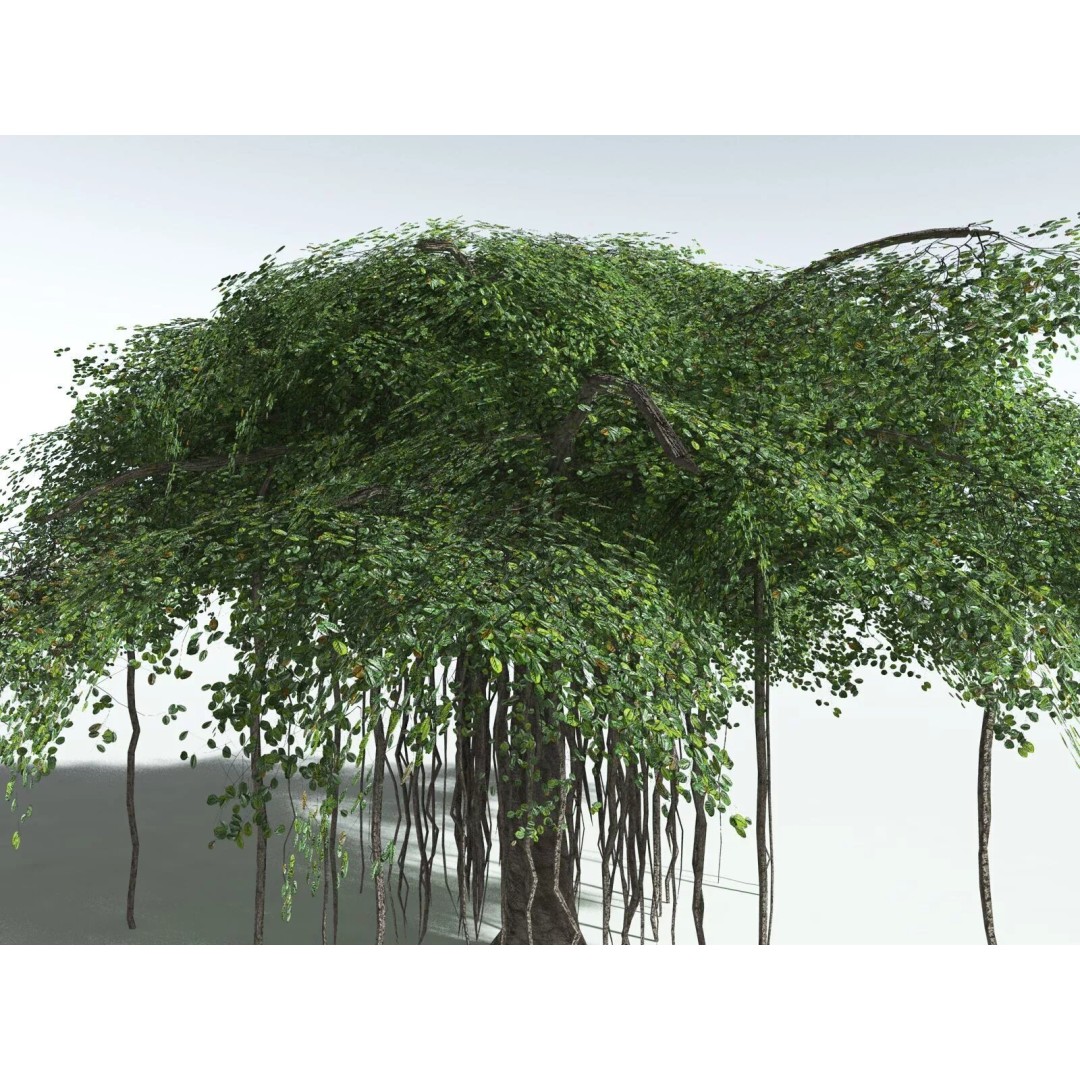 Banyan Tree 3D Model – Low Poly Game Asset, FBX, PBR Textures - View 25