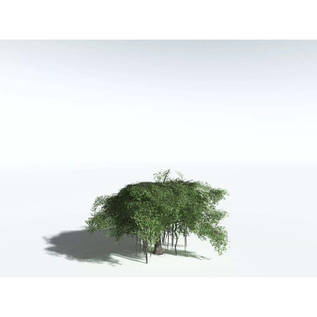 Banyan Tree 3D Model – Low Poly Game Asset, FBX, PBR Textures - View 26