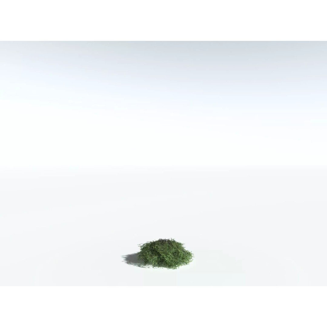 Banyan Tree 3D Model – Low Poly Game Asset, FBX, PBR Textures - View 28