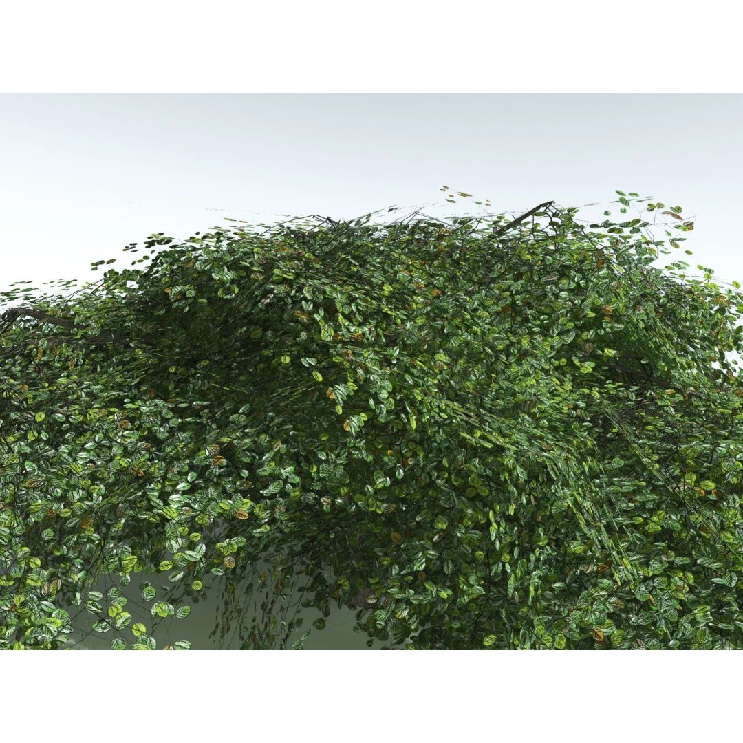 Banyan Tree 3D Model – Low Poly Game Asset, FBX, PBR Textures - View 29