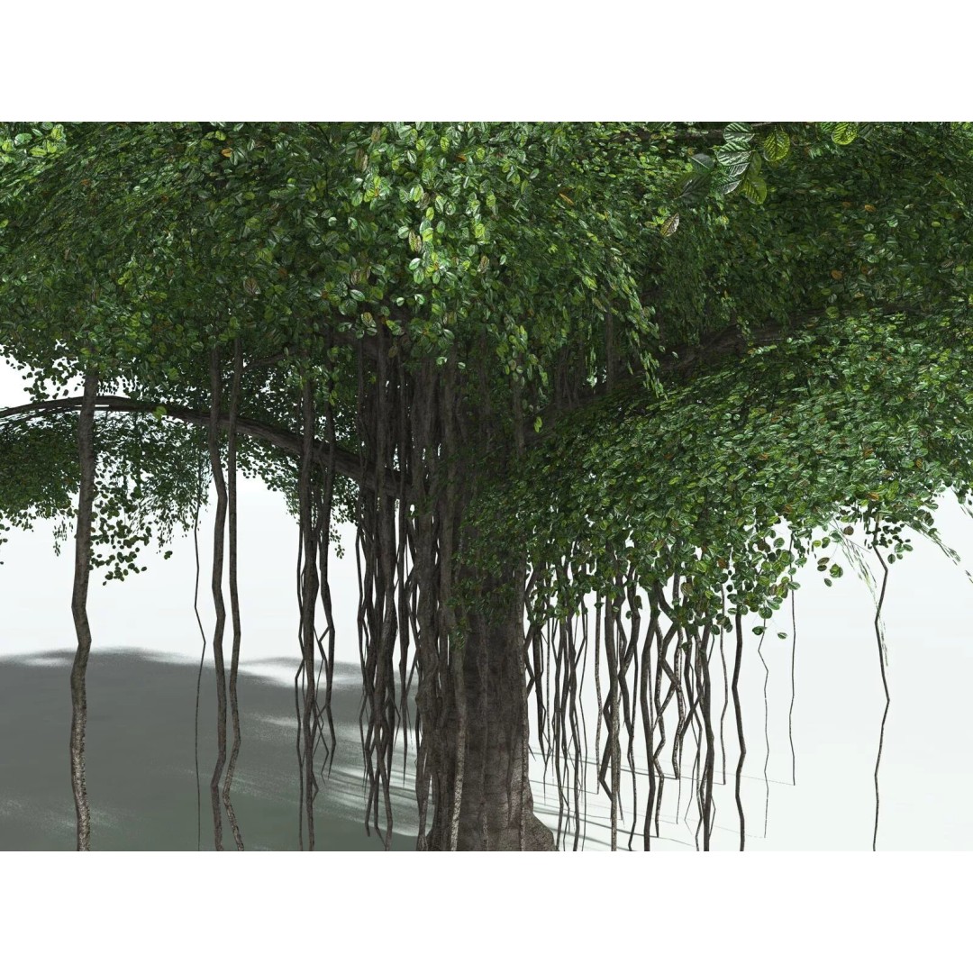 Banyan Tree 3D Model – Low Poly Game Asset, FBX, PBR Textures - View 3