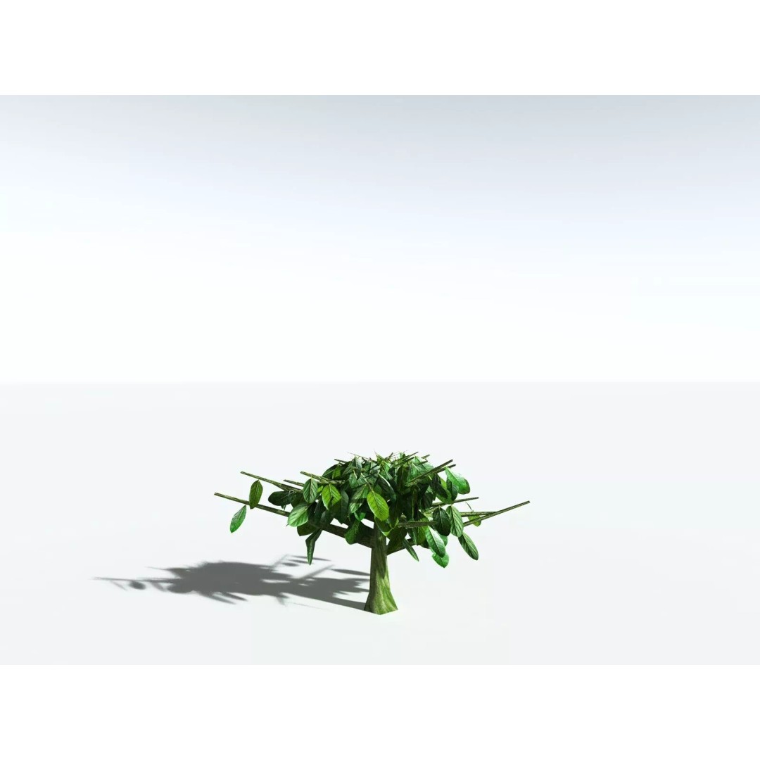 Banyan Tree 3D Model – Low Poly Game Asset, FBX, PBR Textures - View 31