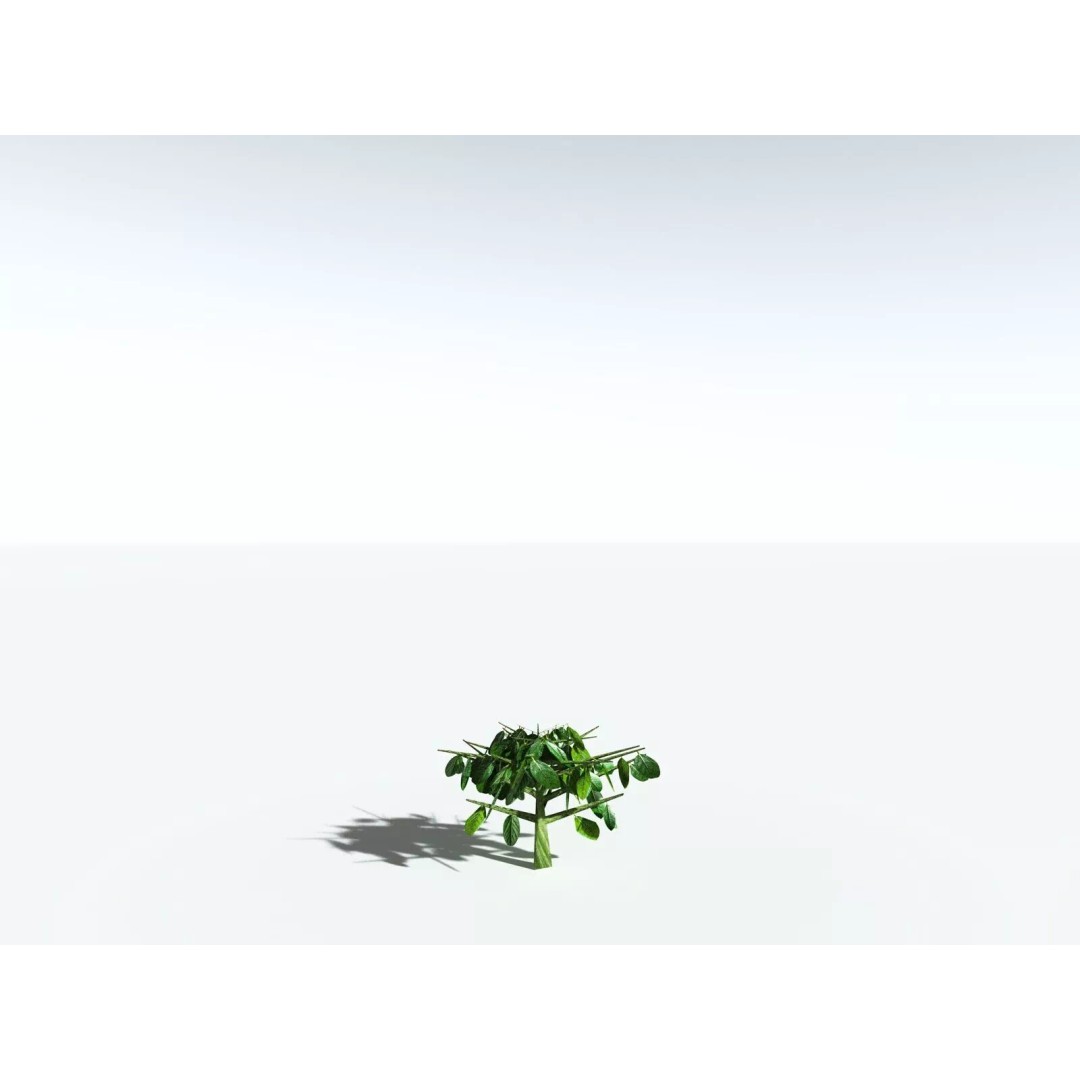 Banyan Tree 3D Model – Low Poly Game Asset, FBX, PBR Textures - View 33
