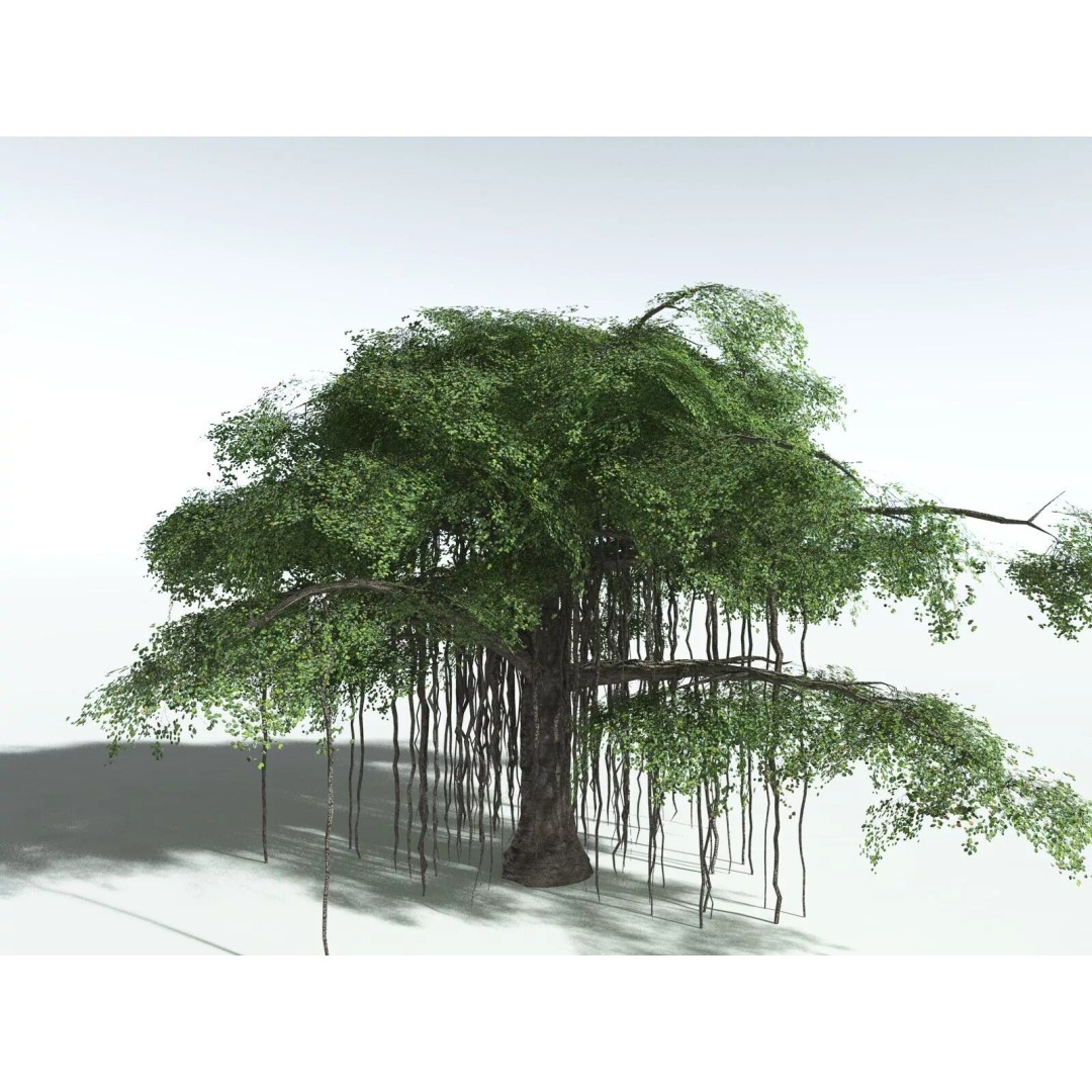 Banyan Tree 3D Model – Low Poly Game Asset, FBX, PBR Textures - View 4