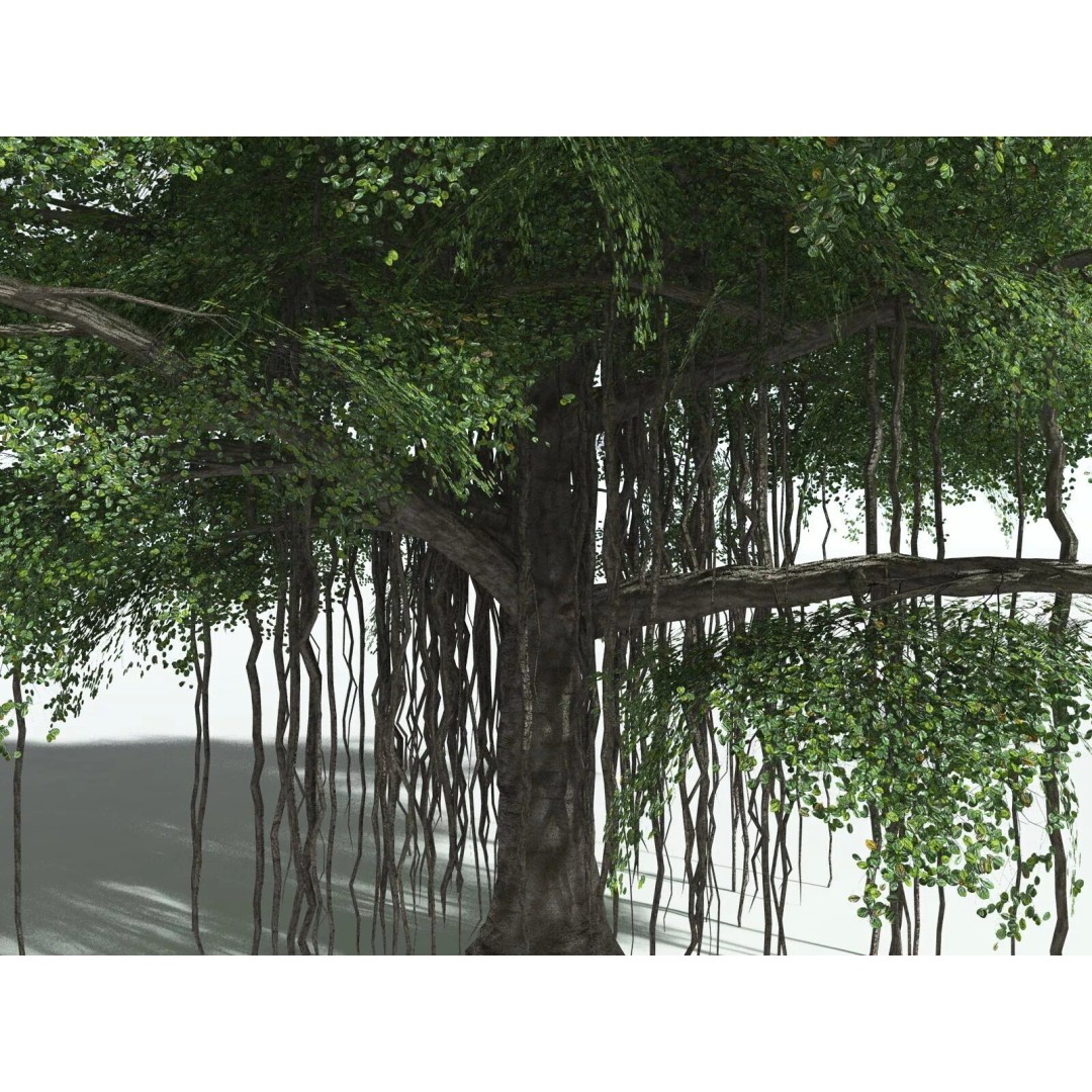 Banyan Tree 3D Model – Low Poly Game Asset, FBX, PBR Textures - View 5