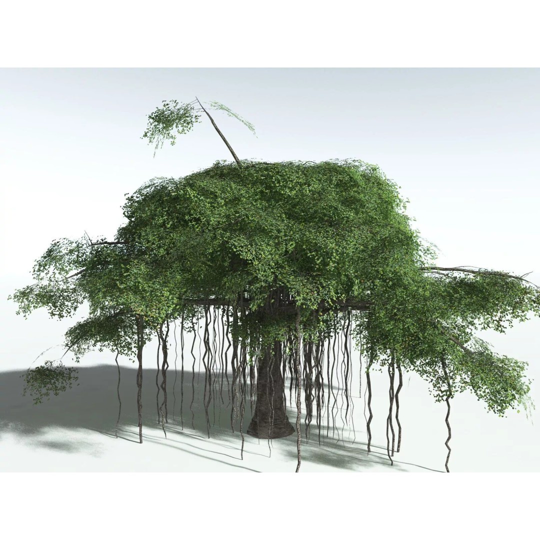 Banyan Tree 3D Model – Low Poly Game Asset, FBX, PBR Textures - View 6