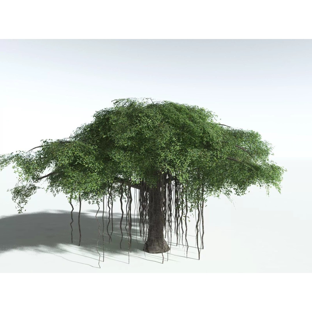 Banyan Tree 3D Model – Low Poly Game Asset, FBX, PBR Textures - View 8