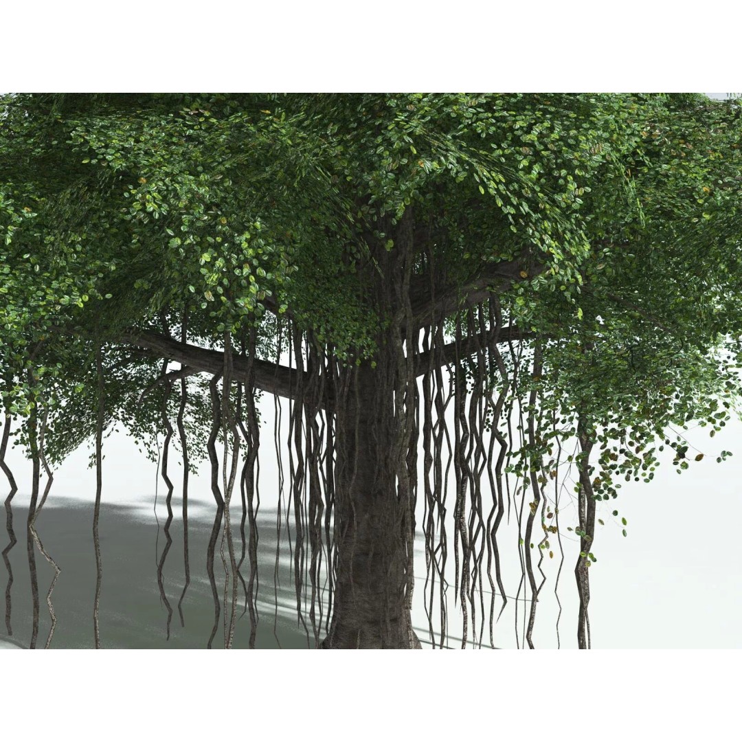Banyan Tree 3D Model – Low Poly Game Asset, FBX, PBR Textures - View 9