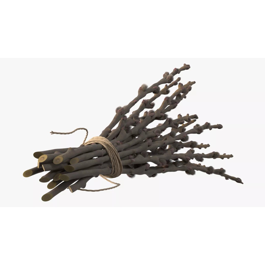 Sheaf of Willow Branches 3D Model – Realistic PBR Decorative Asset - View 10