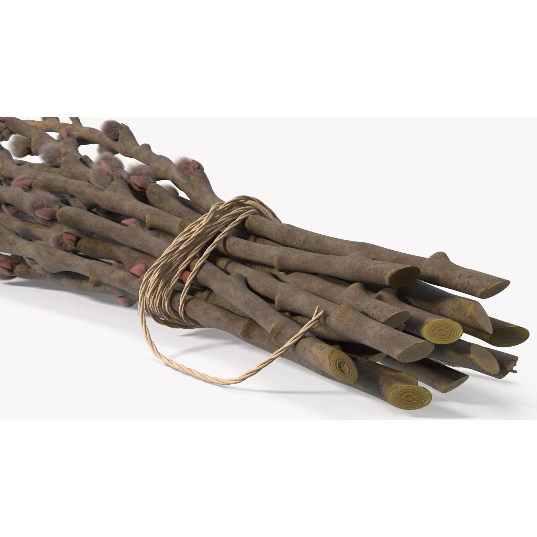 Sheaf of Willow Branches 3D Model – Realistic PBR Decorative Asset - View 11