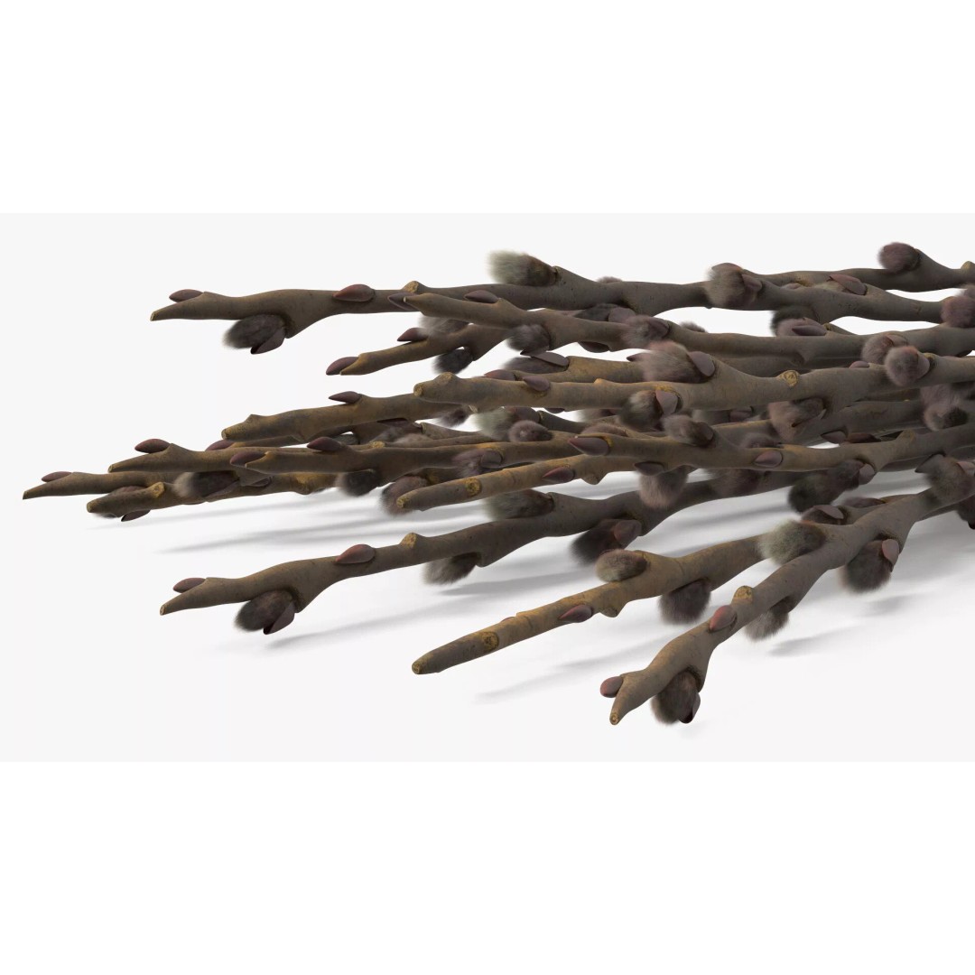 Sheaf of Willow Branches 3D Model – Realistic PBR Decorative Asset - View 12