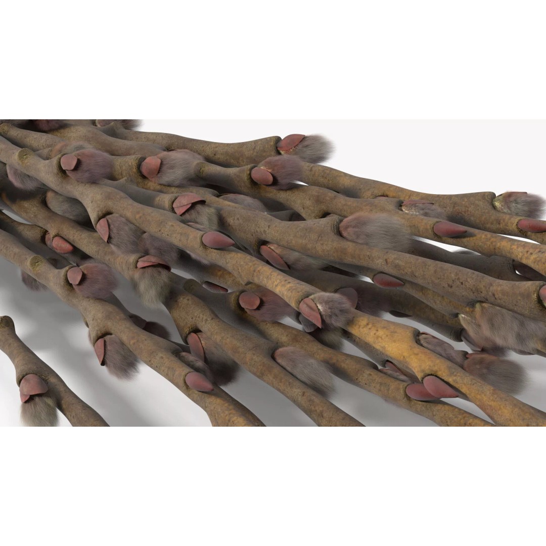 Sheaf of Willow Branches 3D Model – Realistic PBR Decorative Asset - View 13