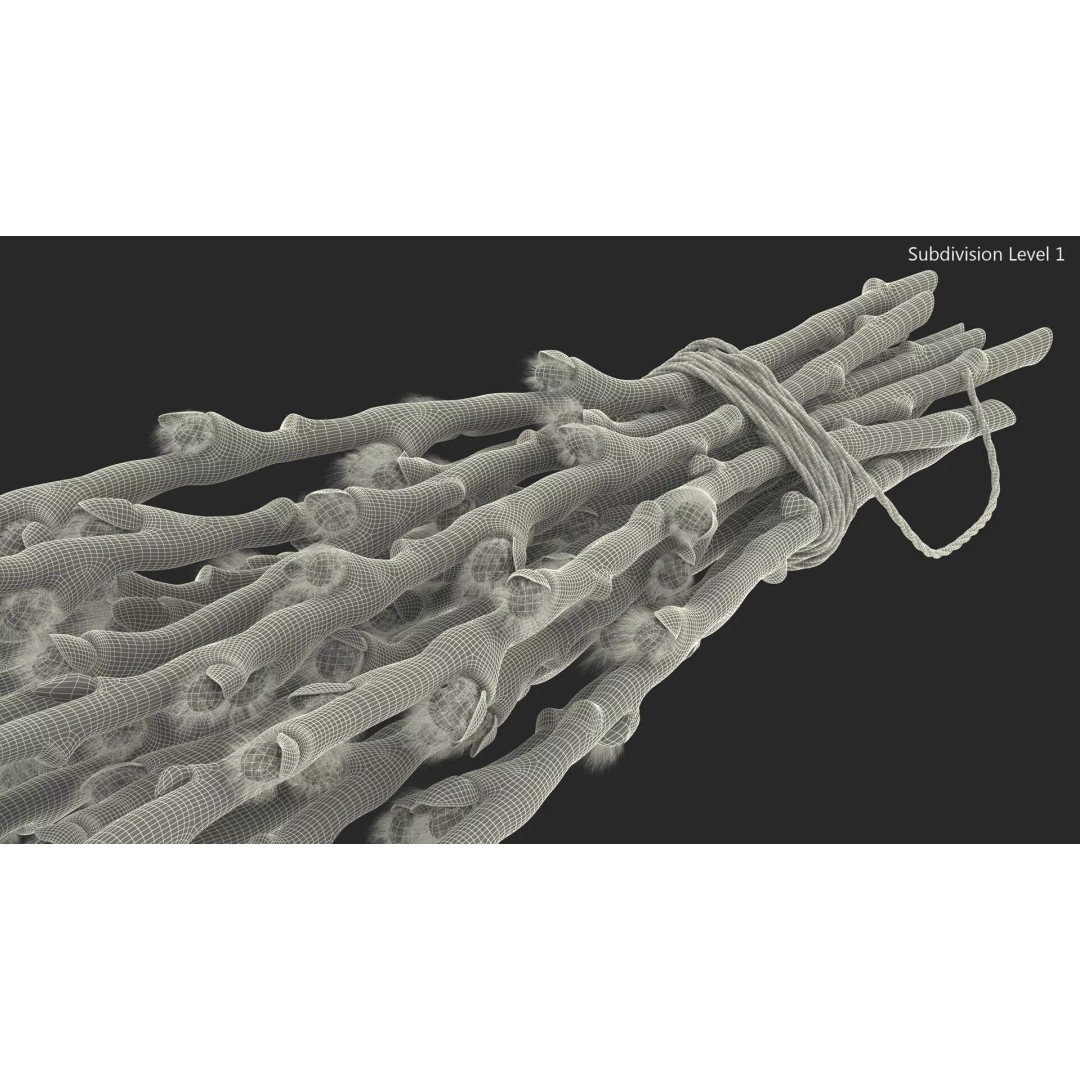 Sheaf of Willow Branches 3D Model – Realistic PBR Decorative Asset - View 16