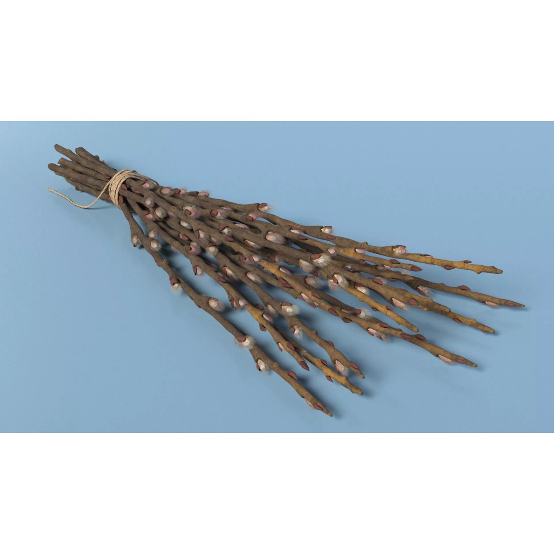 Sheaf of Willow Branches 3D Model – Realistic PBR Decorative Asset - View 2
