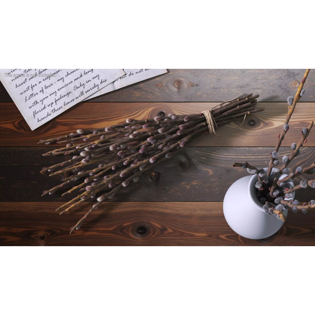 Sheaf of Willow Branches 3D Model – Realistic PBR Decorative Asset - View 3